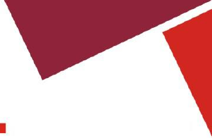 Interface de Captura de Pacotes de Rede