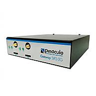 Foto 1 do produto Gateway 3G Pináculo SIP2 Portabilidade Numérica